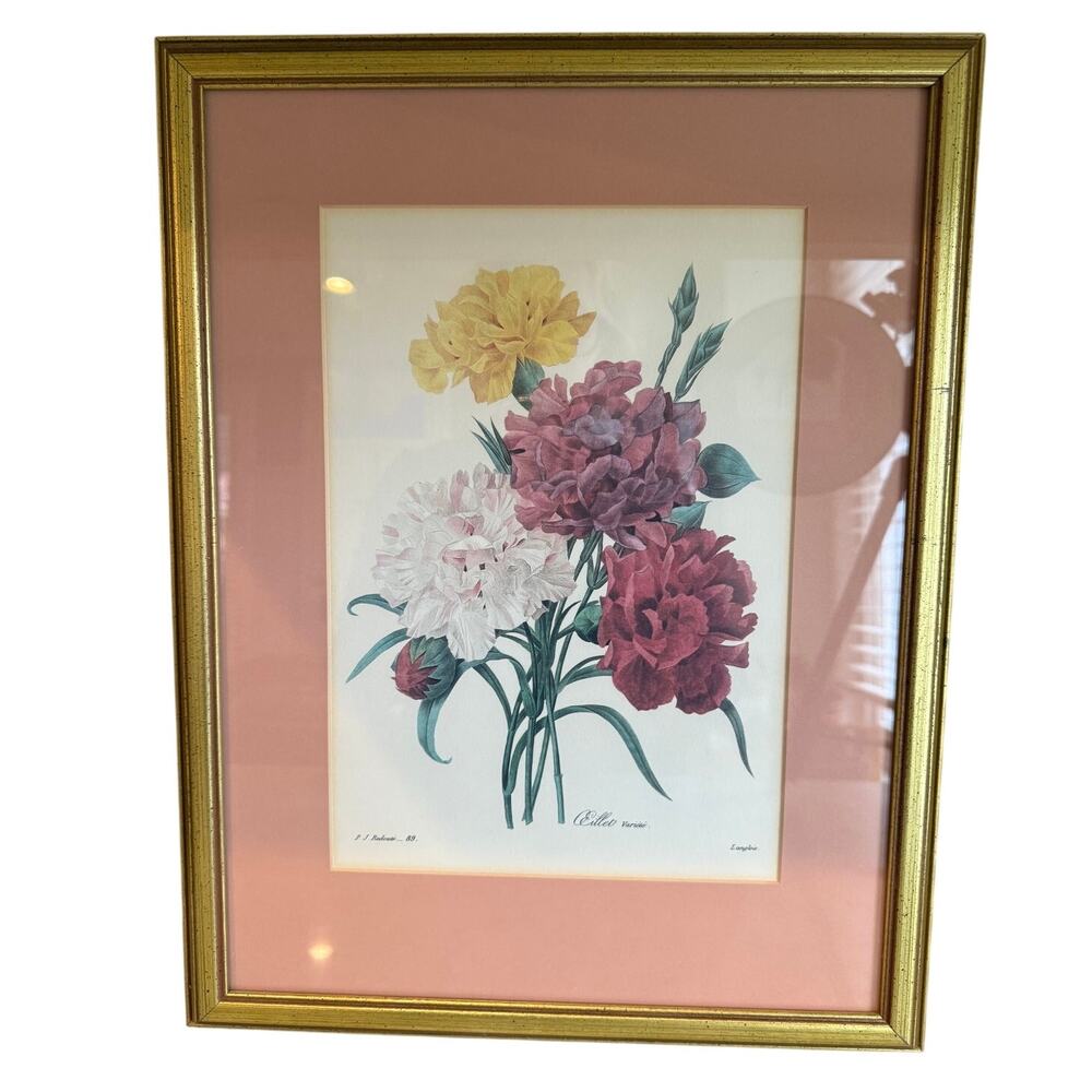 Framed Floral Botanical Print Oeillet Variete "Carnations" Pierre-Joseph Redoute